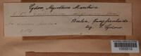 Image Associated With the Occurence